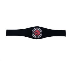 WWE Legacy Title Belt