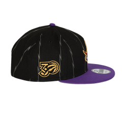 Youth 2024 9FIFTY City Dino Dunk Snapback