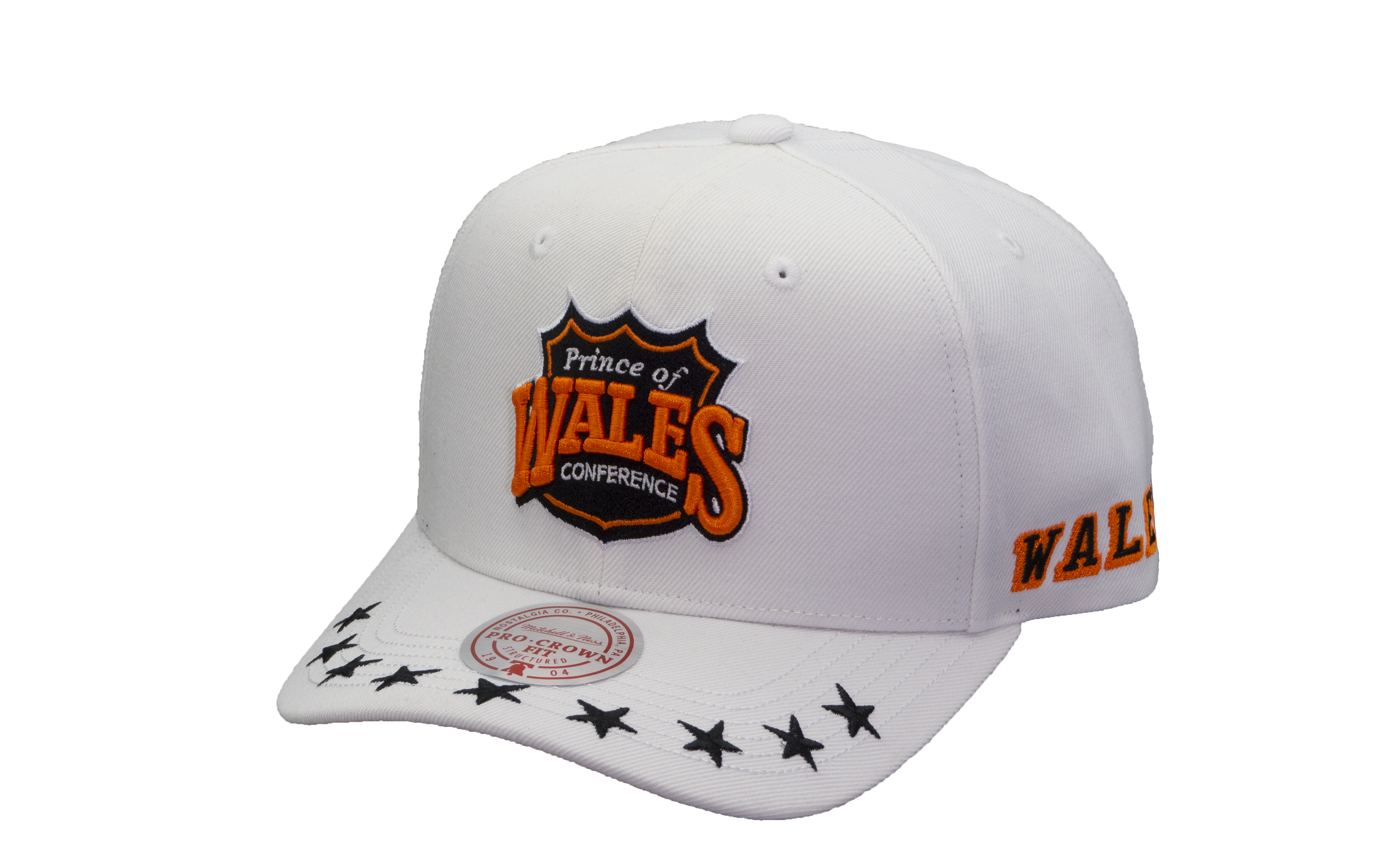 2024 NHL All Star Mitchell Ness Men s Wales Vintage Snapback