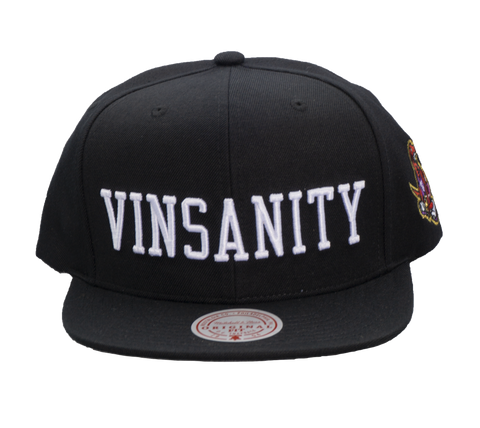 Vinsanity Snapback