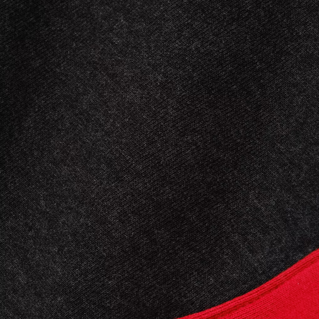 Raptors Monogram Hoody