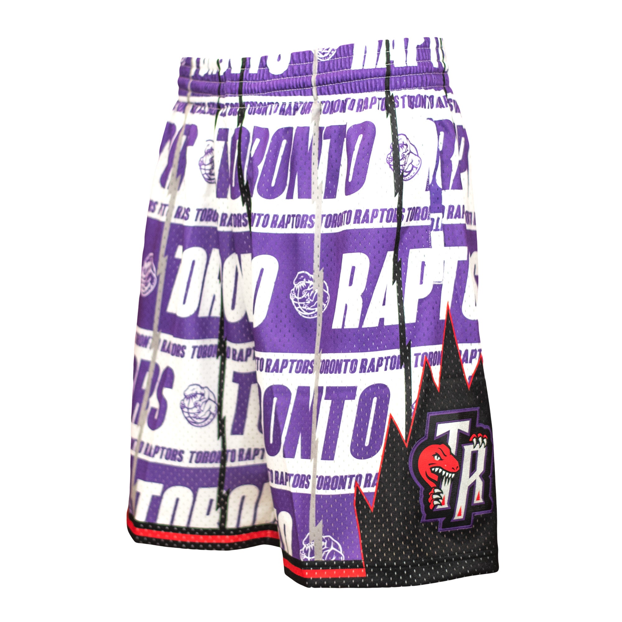 Mitchell & Ness NBA Toronto Raptors mesh swingman shorts in purple