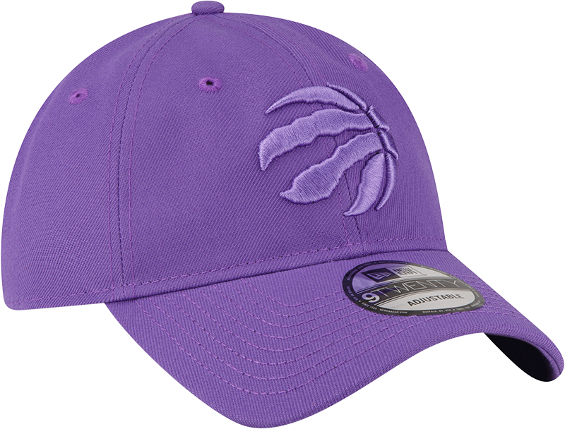 Purple toronto top raptors hat