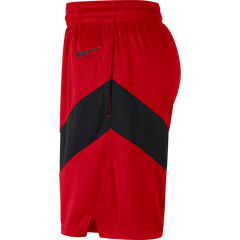 Raptors Nike Men's Swingman 2020 Icon Shorts