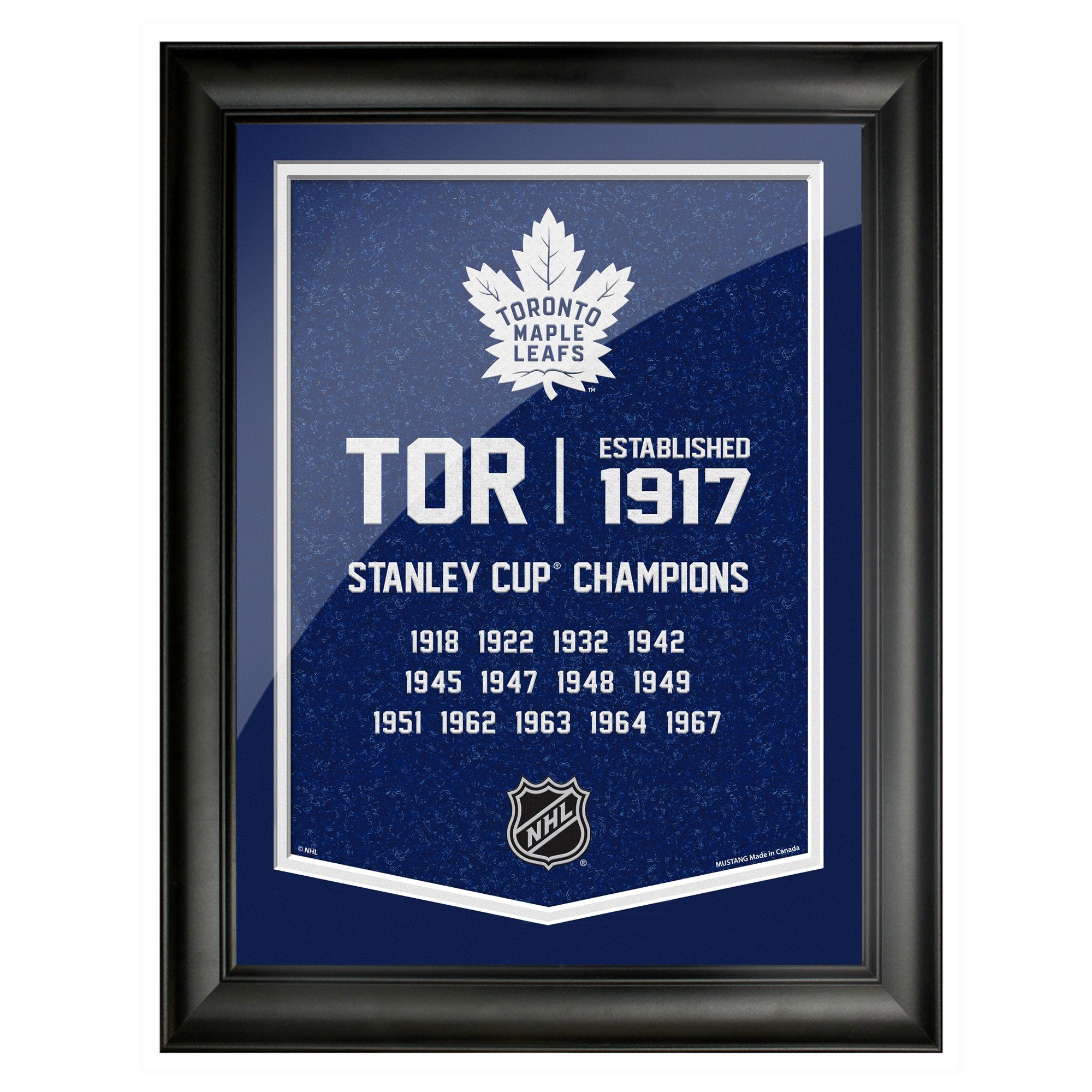 Toronto Maple Leafs 12x16 Team Empire Framed Artwork