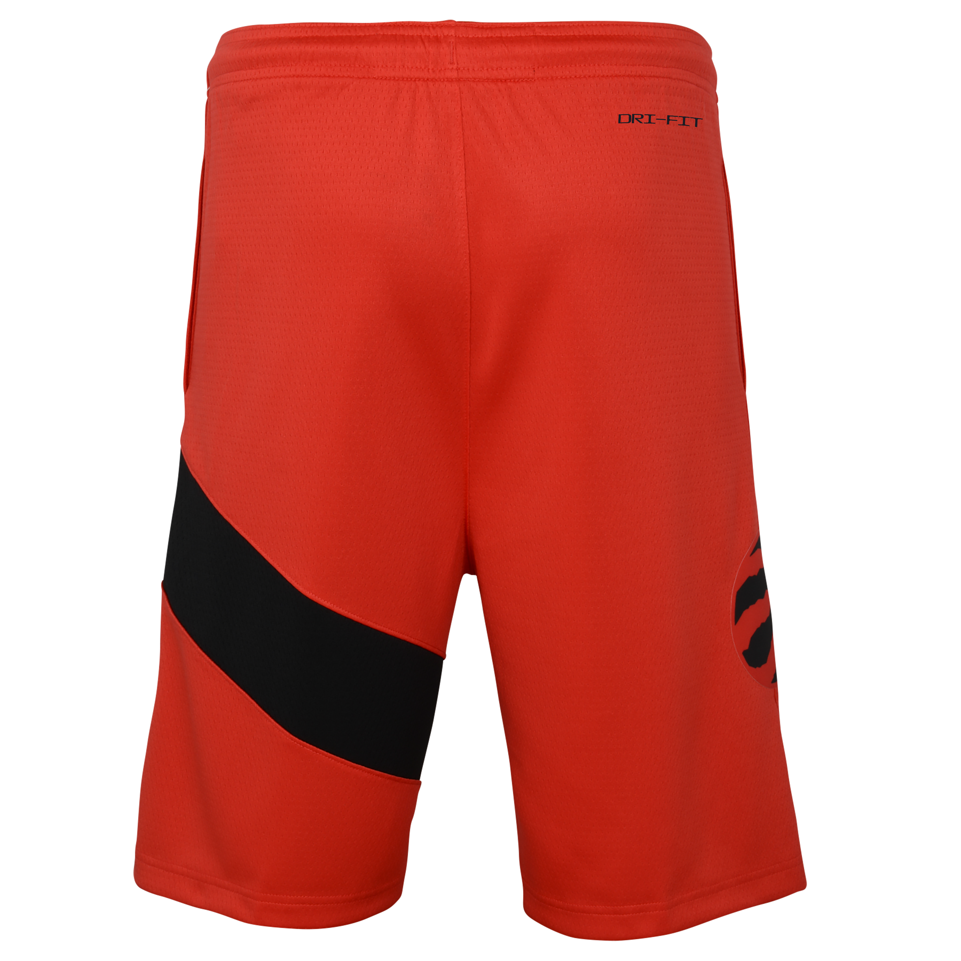 Raptors Nike Youth Swingman 2022 Icon Shorts shop.realsports
