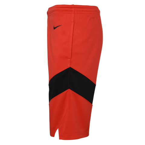 Raptors Nike Youth Swingman 2022 Icon Shorts