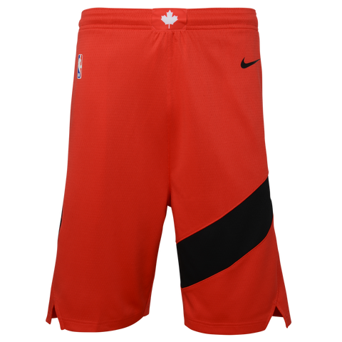 Raptors Nike Youth Swingman 2022 Icon Shorts