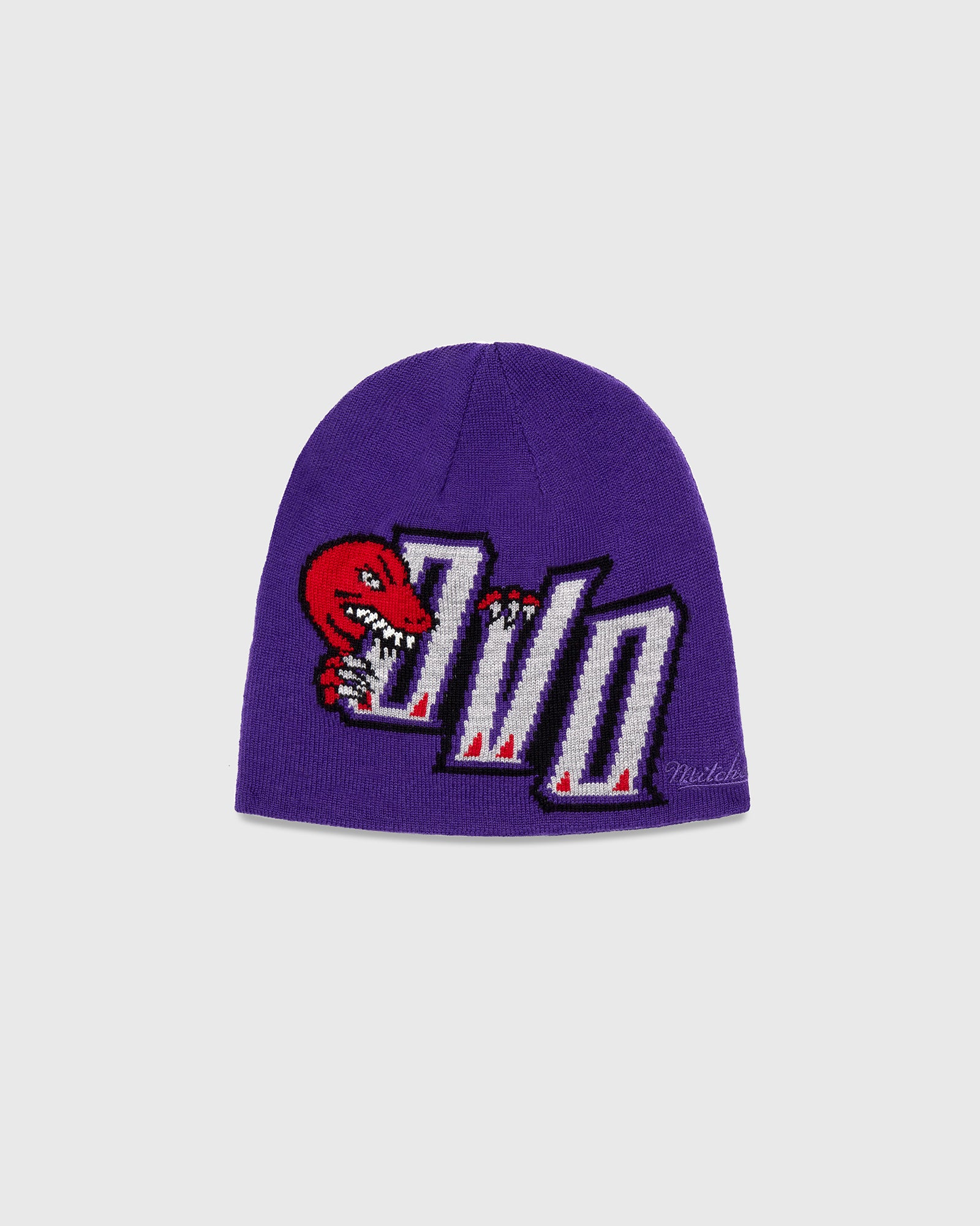 Raptors beanie purple Clearance